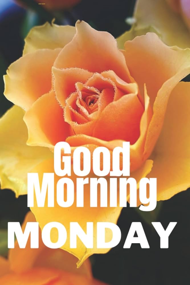 MONDAY 19